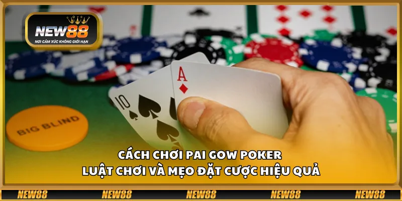 Cách chơi Pai Gow Poker – Luật chơi và mẹo đặt cược hiệu quả 6 Cách chơi Pai Gow Poker – Luật chơi và mẹo đặt cược hiệu quả