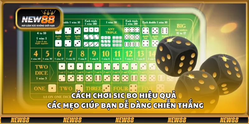 Cách chơi Sic Bo hiệu quả – Các mẹo giúp bạn dễ dàng chiến thắng