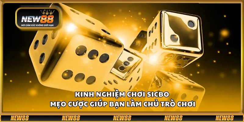 Kinh nghiệm chơi Sicbo – Mẹo cược giúp bạn làm chủ trò chơi 2 Kinh nghiệm chơi Sicbo – Mẹo cược giúp bạn làm chủ trò chơi
