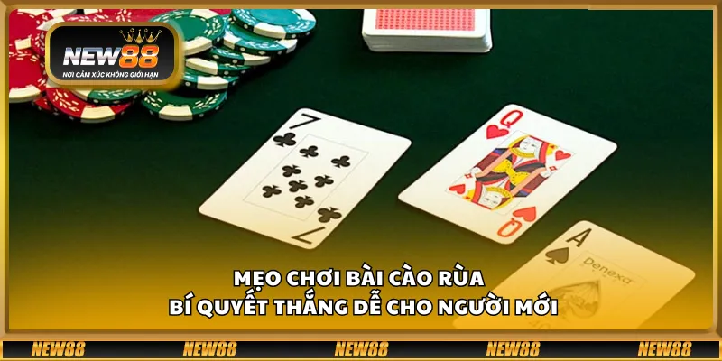 Mẹo chơi bài cào rùa – Bí quyết thắng dễ cho người mới 8 Mẹo chơi bài cào rùa – Bí quyết thắng dễ cho người mới