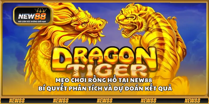 Mẹo chơi Rồng Hổ tại New88 – Bí quyết phân tích và dự đoán kết quả