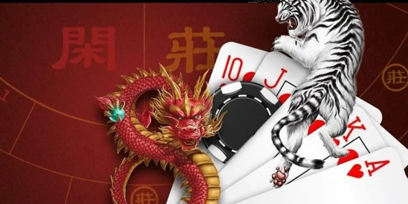 Các loại cược phổ biến trong game Rồng Hổ là gì?
