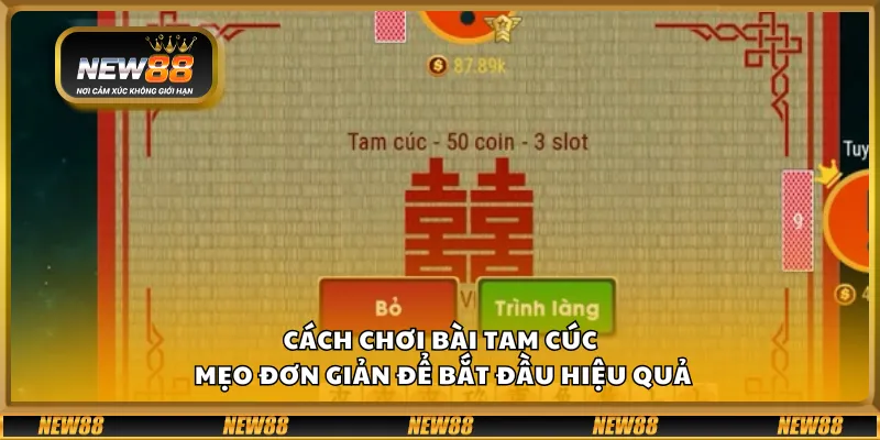 Cách chơi bài Tam Cúc - mẹo đơn giản để bắt đầu hiệu quả
