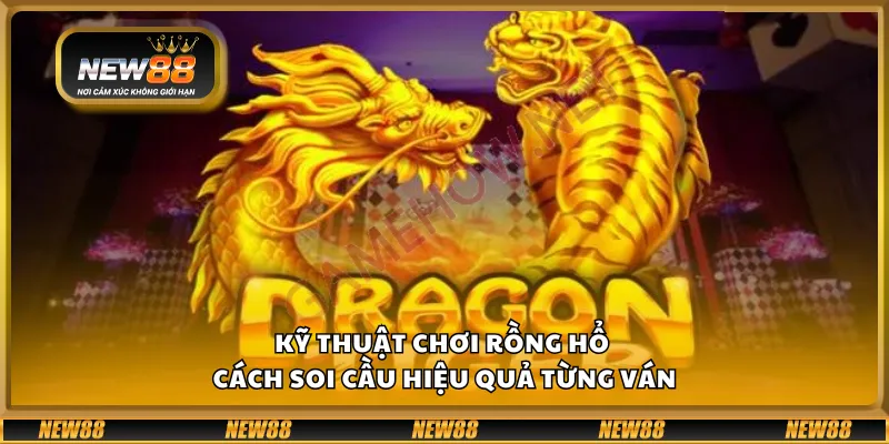 Kỹ thuật chơi Rồng Hổ – Cách soi cầu hiệu quả từng ván