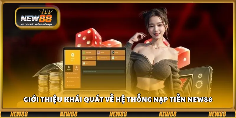 Giới thiệu khái quát về hệ thống nạp tiền New88